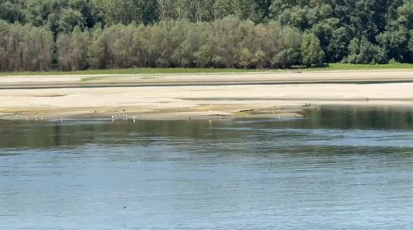 foto video dragaj de urgenta pe dunare la cochirleni guvernul aloca 5 1 milioane de lei pentru lucrarile foto video dragaj de urgenta pe dunare la cochirleni guvernul aloca 5 1 milioane de lei pentru lucrarile