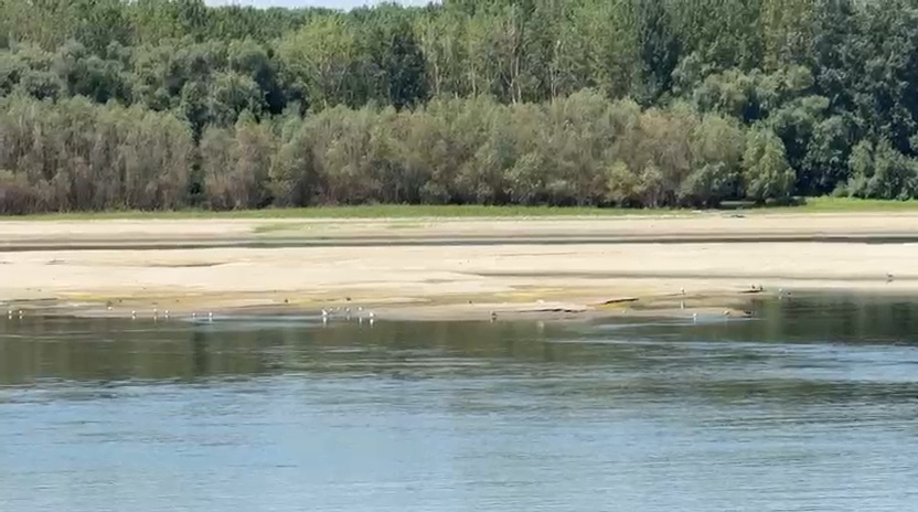 foto video dragaj de urgenta pe dunare la cochirleni guvernul aloca 5 1 milioane de lei pentru lucrarile foto video dragaj de urgenta pe dunare la cochirleni guvernul aloca 5 1 milioane de lei pentru lucrarile