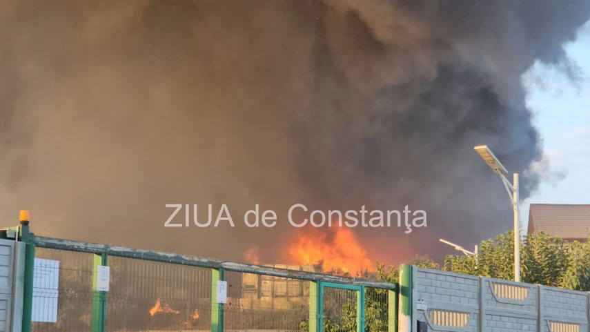 stiri constanta azi incendiu cu degajari mari de fum la un centru de colectare a plasticului intre lumina stiri constanta azi incendiu cu degajari mari de fum la un centru de colectare a plasticului intre lumina