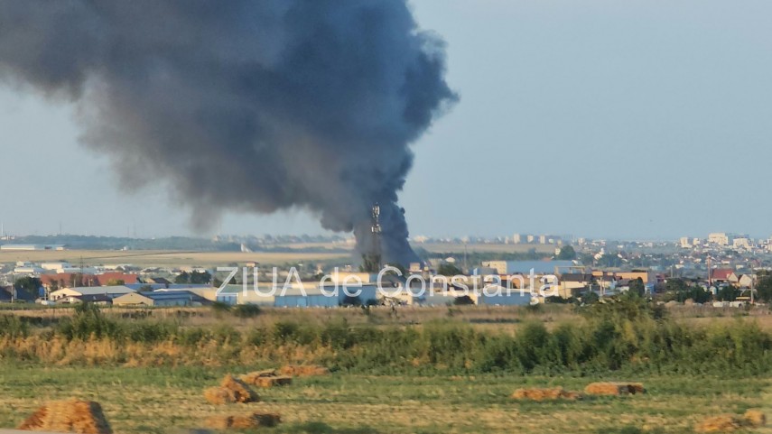 stiri constanta azi incendiu cu degajari mari de fum la un centru de colectare a plasticului intre lumina stiri constanta azi incendiu cu degajari mari de fum la un centru de colectare a plasticului intre lumina