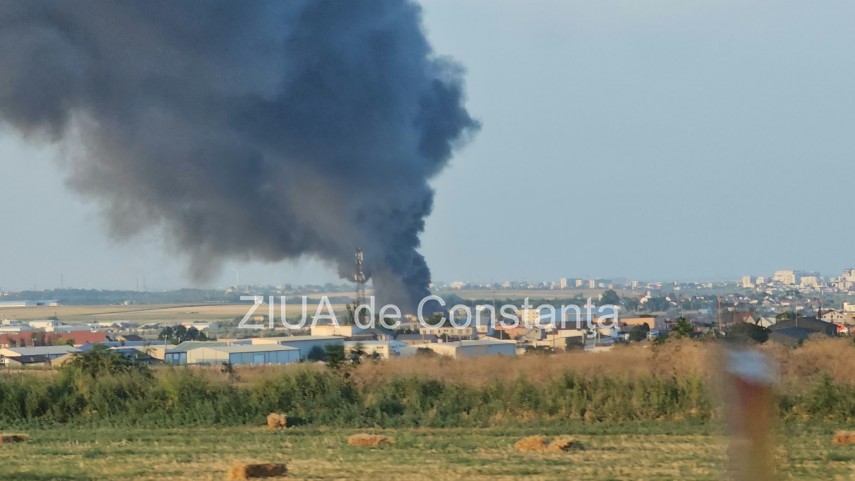 stiri constanta azi incendiu cu degajari mari de fum la un centru de colectare a plasticului intre lumina stiri constanta azi incendiu cu degajari mari de fum la un centru de colectare a plasticului intre lumina