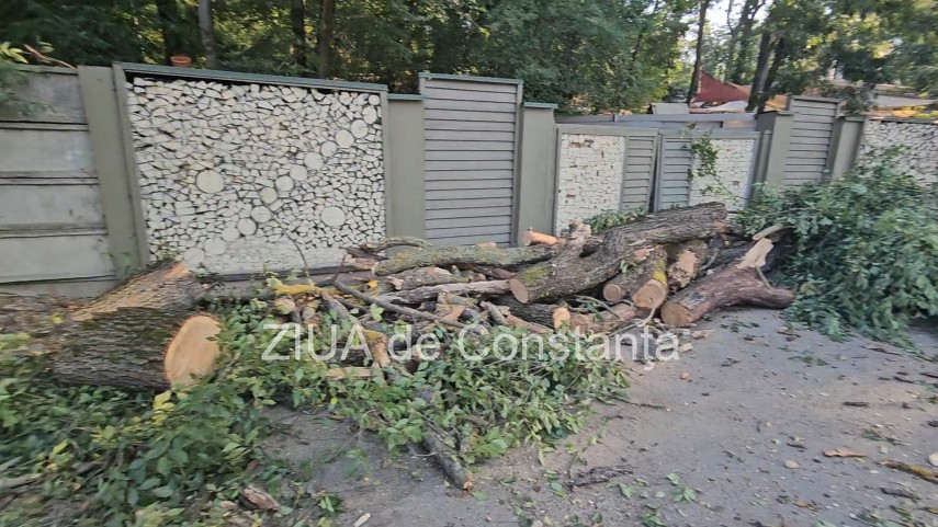 foto video interventie de urgenta pe dn3 constanta valu lui traian un copac cazut pe sosea 949245 foto video interventie de urgenta pe dn3 constanta valu lui traian un copac cazut pe sosea 949245