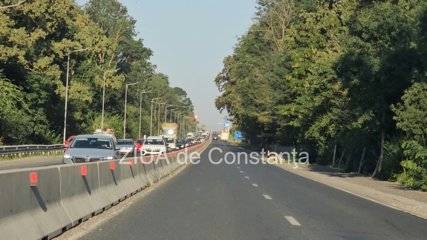 foto video interventie de urgenta pe dn3 constanta valu lui traian un copac cazut pe sosea 949245 foto video interventie de urgenta pe dn3 constanta valu lui traian un copac cazut pe sosea 949245