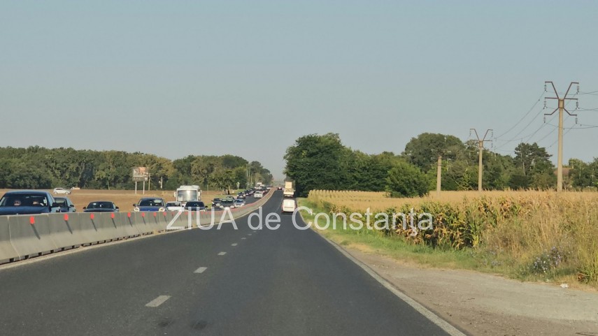 foto video interventie de urgenta pe dn3 constanta valu lui traian un copac cazut pe sosea 949245 foto video interventie de urgenta pe dn3 constanta valu lui traian un copac cazut pe sosea 949245