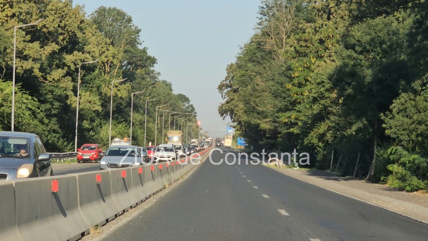 foto video interventie de urgenta pe dn3 constanta valu lui traian un copac cazut pe sosea 949245 foto video interventie de urgenta pe dn3 constanta valu lui traian un copac cazut pe sosea 949245