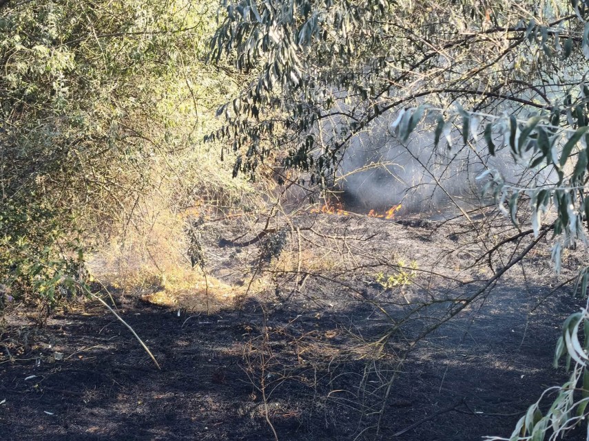 foto constanta incendiu puternic pe terasamentul canalului dunare marea neagra la cumpana aproximativ foto constanta incendiu puternic pe terasamentul canalului dunare marea neagra la cumpana aproximativ
