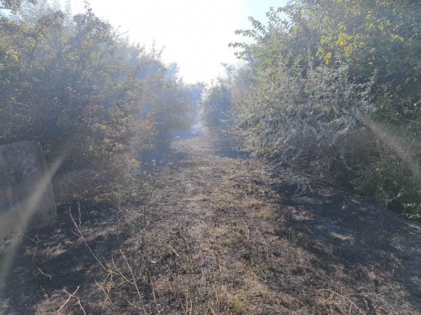 foto constanta incendiu puternic pe terasamentul canalului dunare marea neagra la cumpana aproximativ foto constanta incendiu puternic pe terasamentul canalului dunare marea neagra la cumpana aproximativ