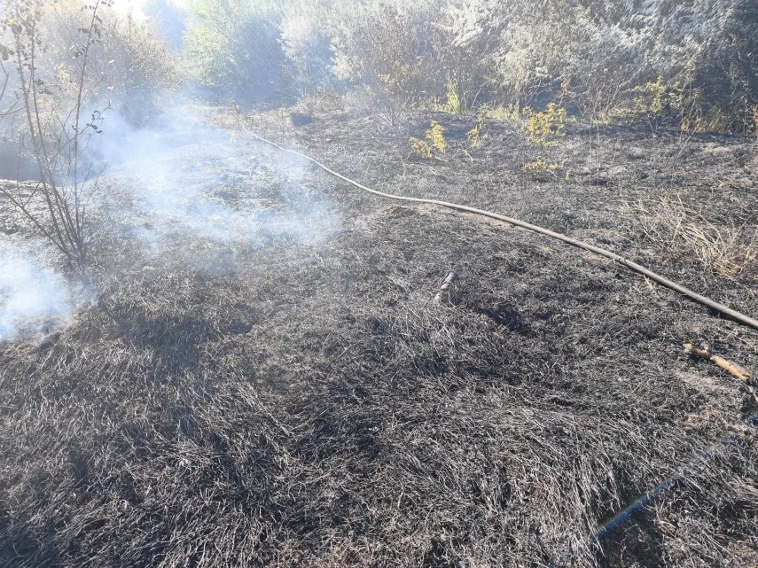 foto constanta incendiu puternic pe terasamentul canalului dunare marea neagra la cumpana aproximativ foto constanta incendiu puternic pe terasamentul canalului dunare marea neagra la cumpana aproximativ