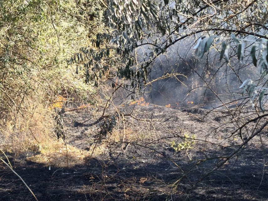 foto constanta incendiu puternic pe terasamentul canalului dunare marea neagra la cumpana aproximativ foto constanta incendiu puternic pe terasamentul canalului dunare marea neagra la cumpana aproximativ