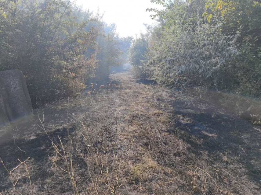 foto constanta incendiu puternic pe terasamentul canalului dunare marea neagra la cumpana aproximativ foto constanta incendiu puternic pe terasamentul canalului dunare marea neagra la cumpana aproximativ
