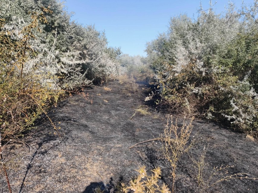 foto constanta incendiu puternic pe terasamentul canalului dunare marea neagra la cumpana aproximativ foto constanta incendiu puternic pe terasamentul canalului dunare marea neagra la cumpana aproximativ