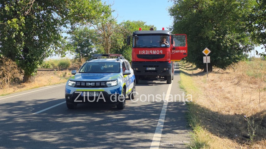 stiri constanta azi accident intre doua autoturisme la iesire din amzacea spre comana sapte persoane stiri constanta azi accident intre doua autoturisme la iesire din amzacea spre comana sapte persoane