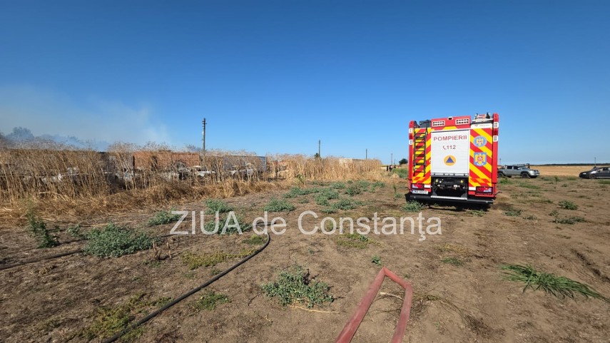 stiri constanta incendiu la o ferma la intrarea in lanurile pompierii intervin cu cinci autospeciale stiri constanta incendiu la o ferma la intrarea in lanurile pompierii intervin cu cinci autospeciale