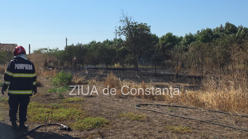 stiri constanta incendiu la o ferma la intrarea in lanurile pompierii intervin cu cinci autospeciale stiri constanta incendiu la o ferma la intrarea in lanurile pompierii intervin cu cinci autospeciale