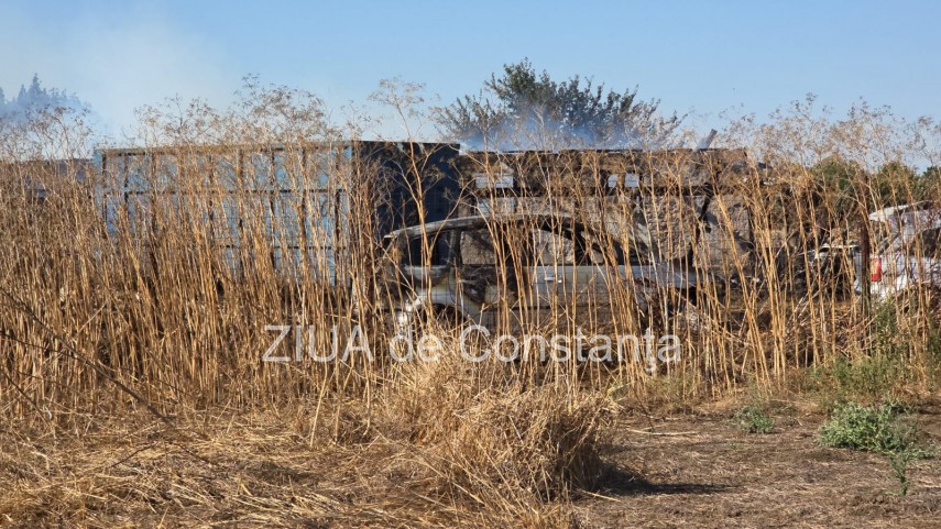 stiri constanta incendiu la o ferma la intrarea in lanurile pompierii intervin cu cinci autospeciale stiri constanta incendiu la o ferma la intrarea in lanurile pompierii intervin cu cinci autospeciale