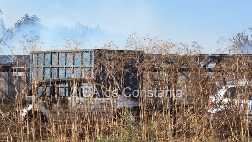 stiri constanta incendiu la o ferma la intrarea in lanurile pompierii intervin cu cinci autospeciale stiri constanta incendiu la o ferma la intrarea in lanurile pompierii intervin cu cinci autospeciale