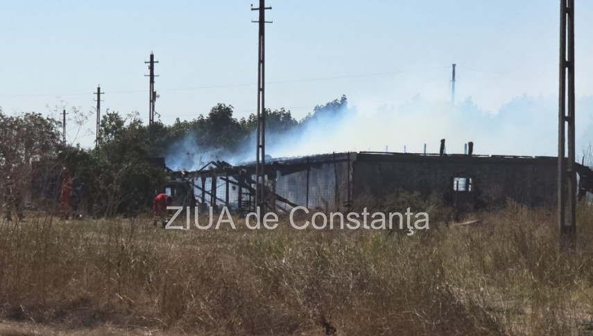 stiri constanta incendiu la o ferma la intrarea in lanurile pompierii intervin cu cinci autospeciale stiri constanta incendiu la o ferma la intrarea in lanurile pompierii intervin cu cinci autospeciale