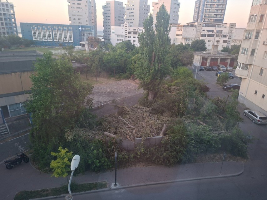 Sursă foto: Fotografie trimisă de cititorul publicației ZIUA de Constanța