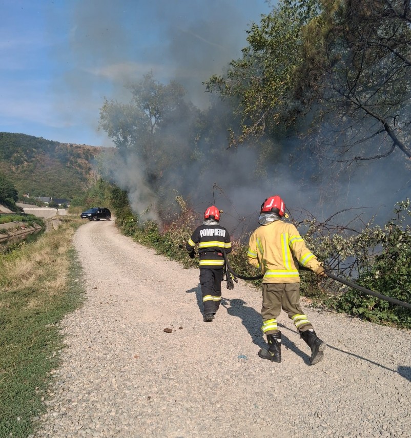 peste 30 de incendii de vegetatie in patru zile in bihor flacarile au afectat aproximativ 90 de hectare peste 30 de incendii de vegetatie in patru zile in bihor flacarile au afectat aproximativ 90 de hectare