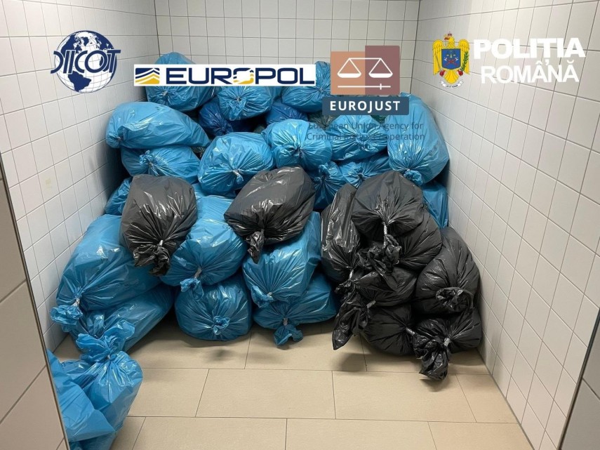 foto retea transfrontaliera de trafic de cocaina canabis si hasis sparta de diicot droguri de 25 de milioane foto retea transfrontaliera de trafic de cocaina canabis si hasis sparta de diicot droguri de 25 de milioane
