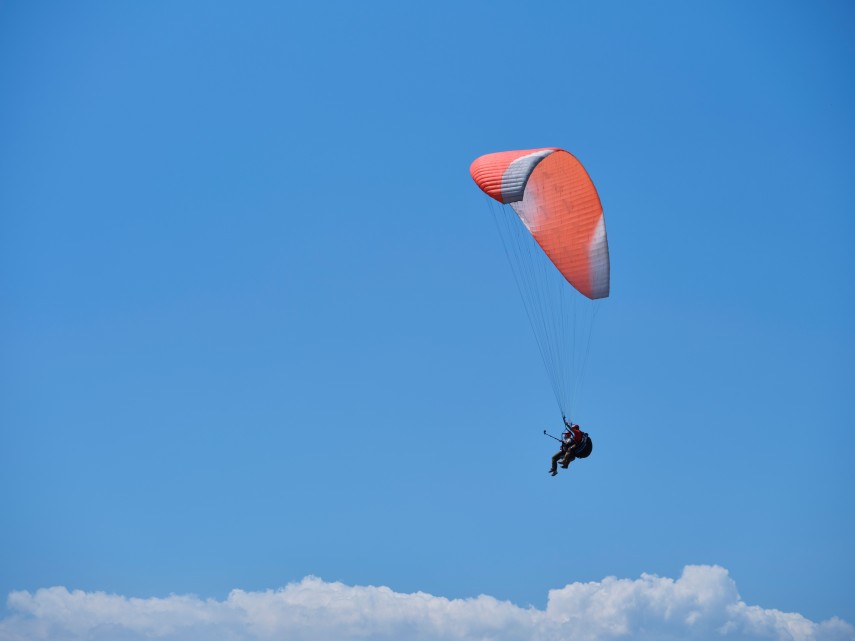 Foto cu rol ilustrativ Sursă: Pixabay