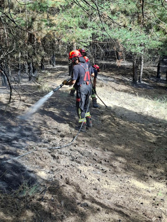 foto pompierii romani lupta cu incendiile din serbia au deschis un drum de sapte kilometri printr o zona foto pompierii romani lupta cu incendiile din serbia au deschis un drum de sapte kilometri printr o zona