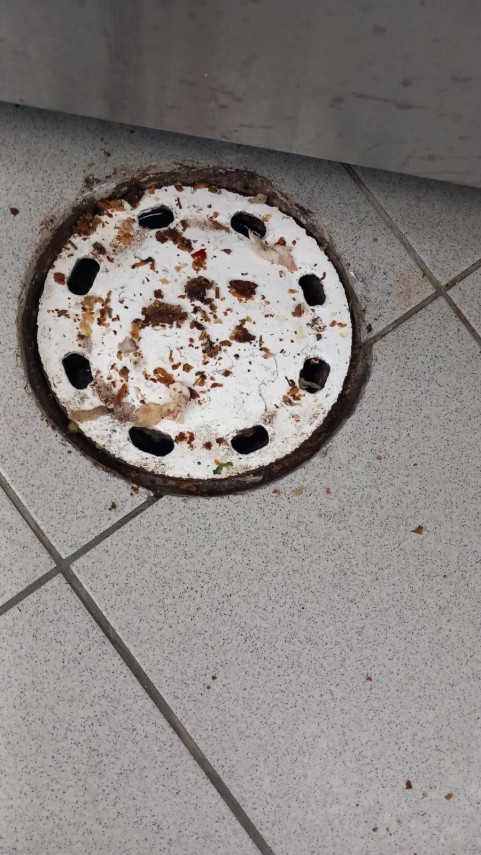 foto video controale cjpc in statiunea saturn dupa incidentul de la hotel neko ce au descoperit comisarii foto video controale cjpc in statiunea saturn dupa incidentul de la hotel neko ce au descoperit comisarii