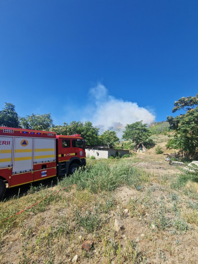 foto incendiu de vegetatie uscata extins la fond forestier in apropiere de localitatea greci judetul foto incendiu de vegetatie uscata extins la fond forestier in apropiere de localitatea greci judetul