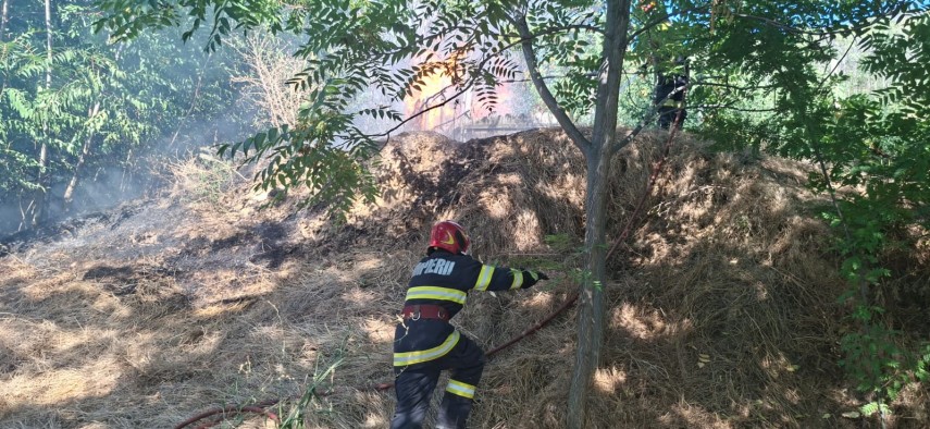 foto incendiu de vegetatie uscata extins la fond forestier in apropiere de localitatea greci judetul foto incendiu de vegetatie uscata extins la fond forestier in apropiere de localitatea greci judetul