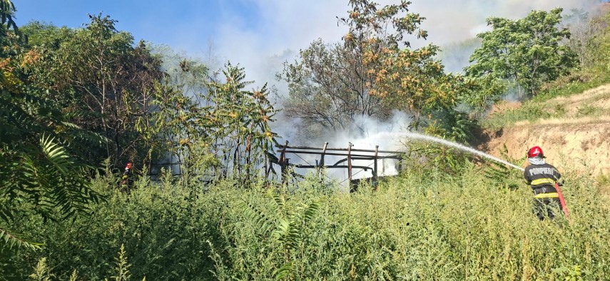 foto incendiu de vegetatie uscata extins la fond forestier in apropiere de localitatea greci judetul foto incendiu de vegetatie uscata extins la fond forestier in apropiere de localitatea greci judetul