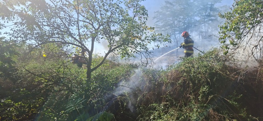 foto incendiu de vegetatie uscata extins la fond forestier in apropiere de localitatea greci judetul foto incendiu de vegetatie uscata extins la fond forestier in apropiere de localitatea greci judetul
