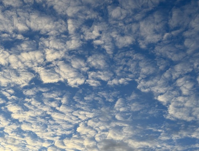 foto: Freepick.com