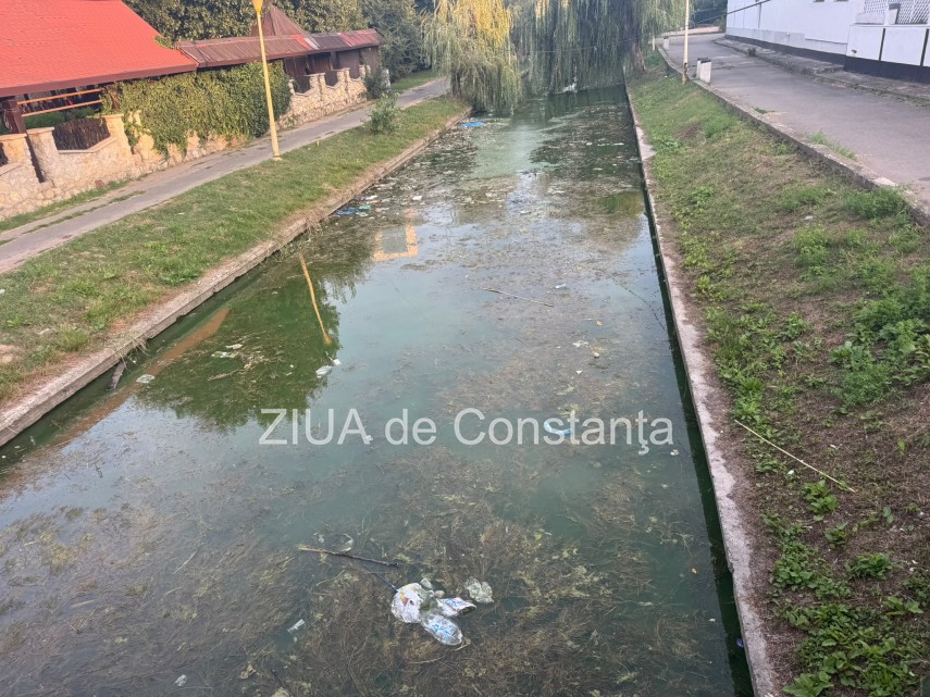 foto canalul abandonat din satul de vacanta din constanta ramane un focar de infectie si un test al nepasarii foto canalul abandonat din satul de vacanta din constanta ramane un focar de infectie si un test al nepasarii