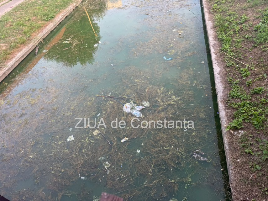 foto canalul abandonat din satul de vacanta din constanta ramane un focar de infectie si un test al nepasarii foto canalul abandonat din satul de vacanta din constanta ramane un focar de infectie si un test al nepasarii