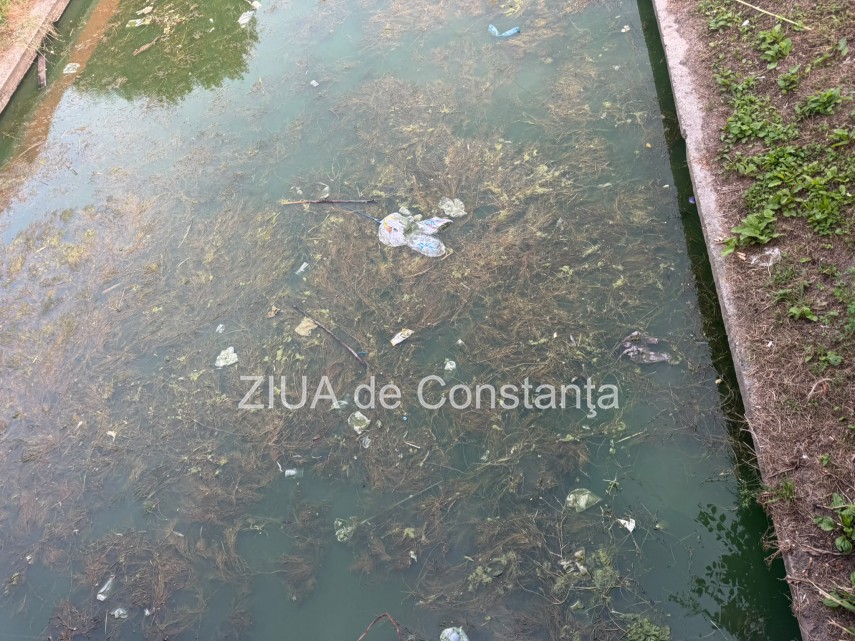 foto canalul abandonat din satul de vacanta din constanta ramane un focar de infectie si un test al nepasarii foto canalul abandonat din satul de vacanta din constanta ramane un focar de infectie si un test al nepasarii
