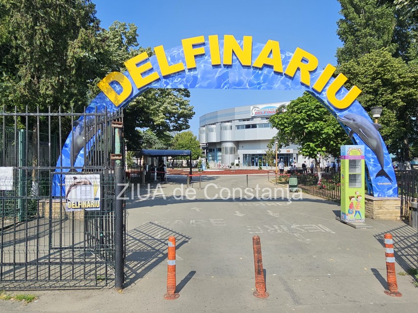 Foto cu rol ilustrativ Complexului Muzeal de Științe ale Naturii Constanța, zona Delfinariu
