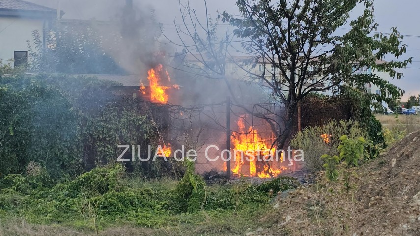 stiri constanta foto video incendiu in cumpana baraci cuprinse de flacari 954205 stiri constanta foto video incendiu in cumpana baraci cuprinse de flacari 954205