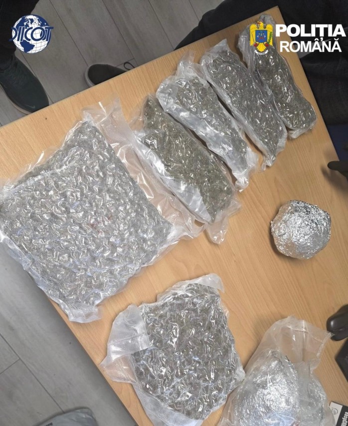 foto diicot un barbat de 36 de ani a fost arestat preventiv pentru trafic de canabis 954428 foto diicot un barbat de 36 de ani a fost arestat preventiv pentru trafic de canabis 954428