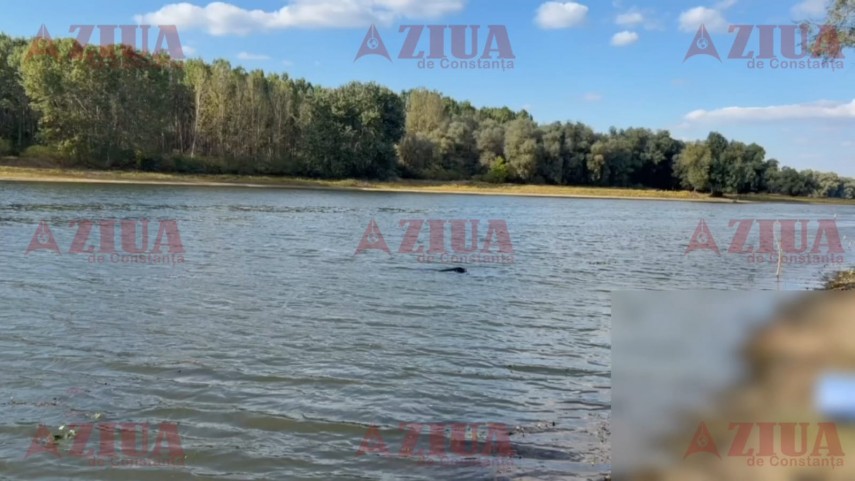 foto video autoturism scufundat in lacul bentu mare victima a fost extrasa din ape de scafandri iar masina foto video autoturism scufundat in lacul bentu mare victima a fost extrasa din ape de scafandri iar masina