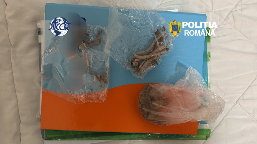 foto droguri aduse din spania prin curierat doi barbati prinsi in flagrant la galati cu canabis si cocaina foto droguri aduse din spania prin curierat doi barbati prinsi in flagrant la galati cu canabis si cocaina