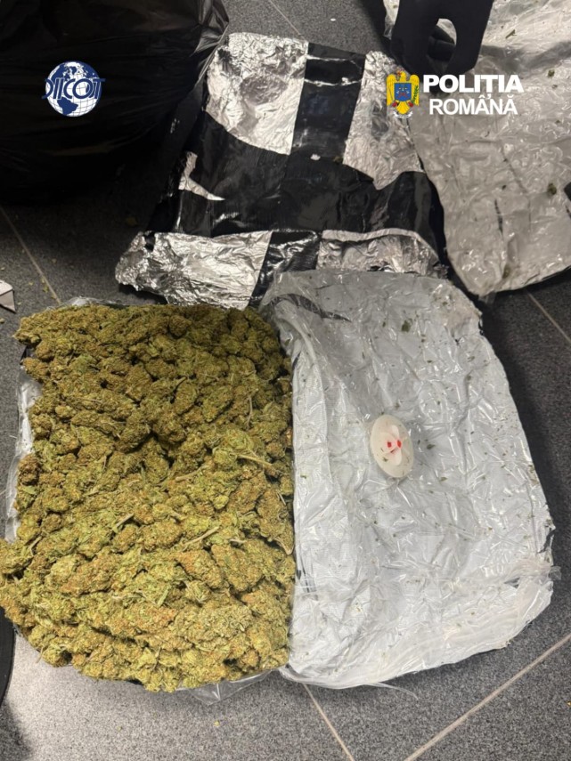 foto video tanar de 22 de ani prins in flagrant la brasov cu 6 kilograme de canabis diicot a cerut arestarea foto video tanar de 22 de ani prins in flagrant la brasov cu 6 kilograme de canabis diicot a cerut arestarea