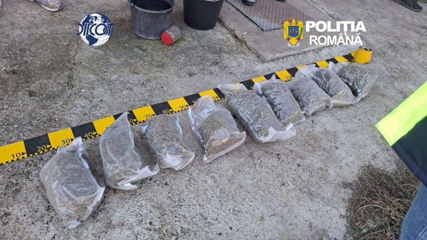 foto cultura de canabis indoor depistata de procurorii diicot un barbat de 62 de ani a ajuns dupa gratii foto cultura de canabis indoor depistata de procurorii diicot un barbat de 62 de ani a ajuns dupa gratii