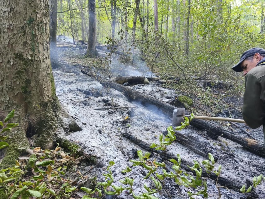 foto incendii de amploare de padure in judetele valcea si caras severin trei elicoptere black hawk intervin foto incendii de amploare de padure in judetele valcea si caras severin trei elicoptere black hawk intervin