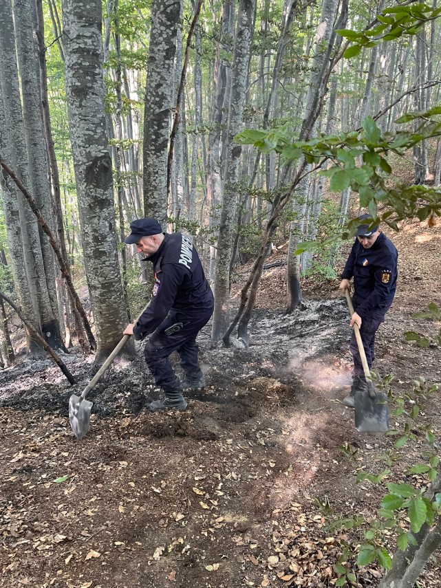 foto incendii de amploare de padure in judetele valcea si caras severin trei elicoptere black hawk intervin foto incendii de amploare de padure in judetele valcea si caras severin trei elicoptere black hawk intervin