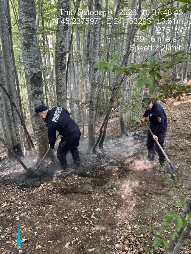 foto incendii de amploare de padure in judetele valcea si caras severin trei elicoptere black hawk intervin foto incendii de amploare de padure in judetele valcea si caras severin trei elicoptere black hawk intervin