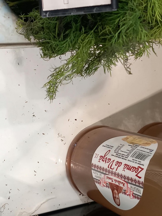 foto bilantul controalelor masive efectuate de anpc amenzi de peste jumatate de milion de lei si trei foto bilantul controalelor masive efectuate de anpc amenzi de peste jumatate de milion de lei si trei