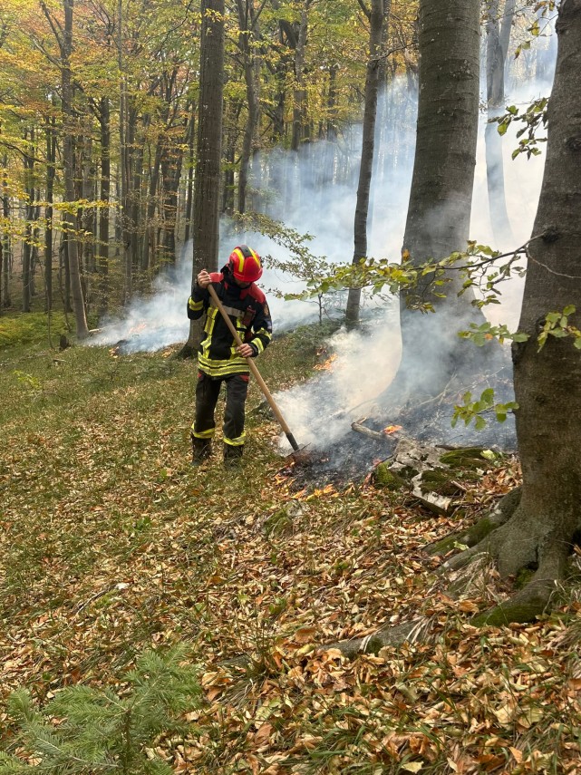 foto incendiul din parcul national domogled valea cernei continua sa mobilizeze peste 130 de forte de foto incendiul din parcul national domogled valea cernei continua sa mobilizeze peste 130 de forte de