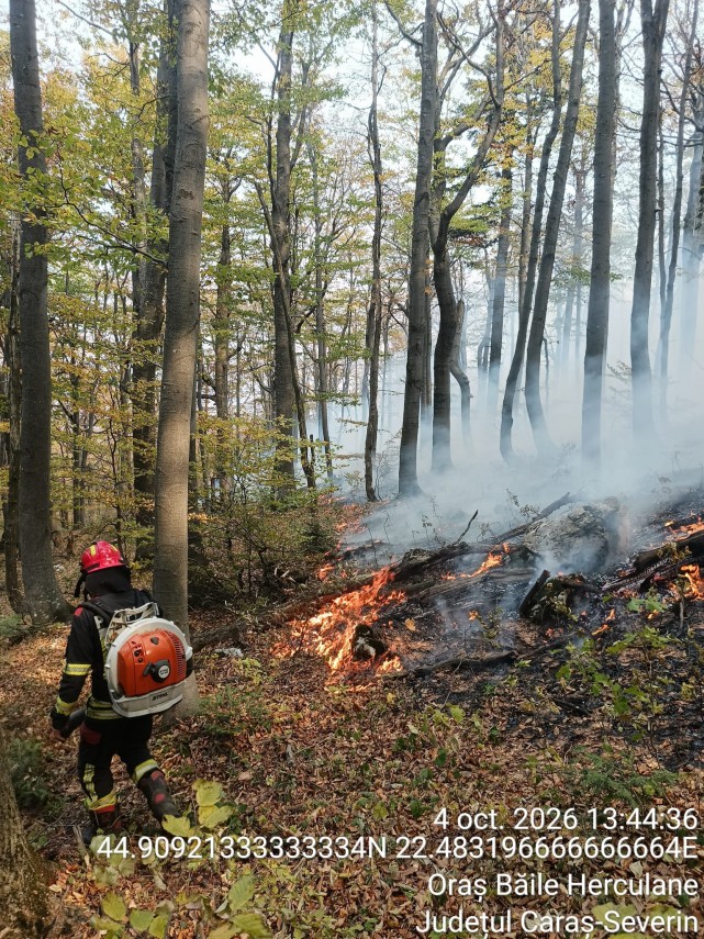 foto incendiul din parcul national domogled valea cernei continua sa mobilizeze peste 130 de forte de foto incendiul din parcul national domogled valea cernei continua sa mobilizeze peste 130 de forte de