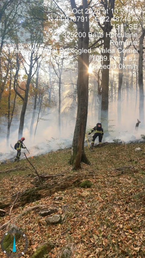 foto incendiul din parcul national domogled valea cernei continua sa mobilizeze peste 130 de forte de foto incendiul din parcul national domogled valea cernei continua sa mobilizeze peste 130 de forte de