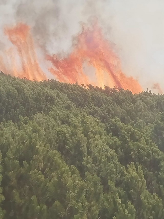 foto un avion spartan al armatei romane trimis sa ajute la stingerea incendiului de vegetatie din gorj foto un avion spartan al armatei romane trimis sa ajute la stingerea incendiului de vegetatie din gorj